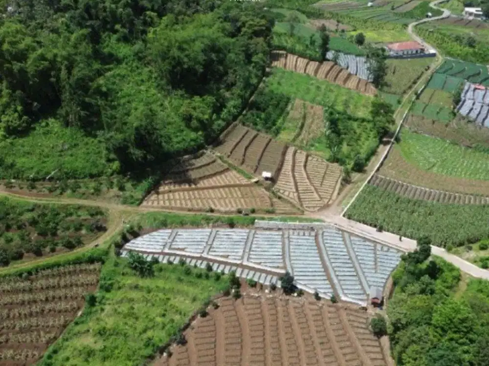 V1 Jual Tanah Luas Area Pertanian di Torongrejo Batu Dekat Wisata