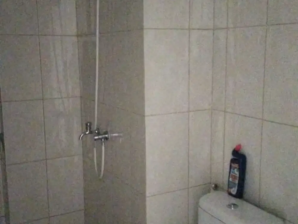 Jual Apartement Springlake 2 Bedroom Kosongan View Pool Siap Nego