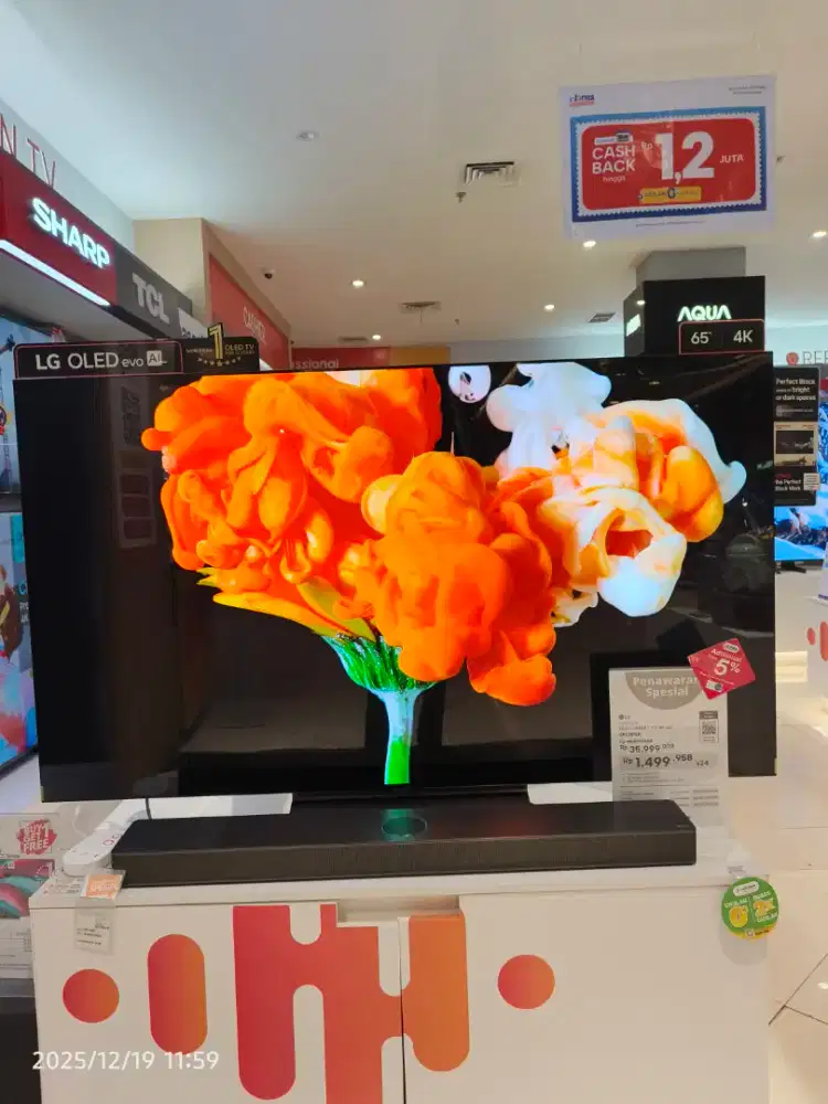TV LG OLED TERBARU 65 INCH