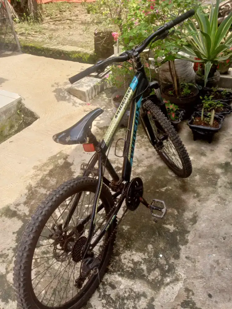 Jual sepeda gunung merk Phoenix