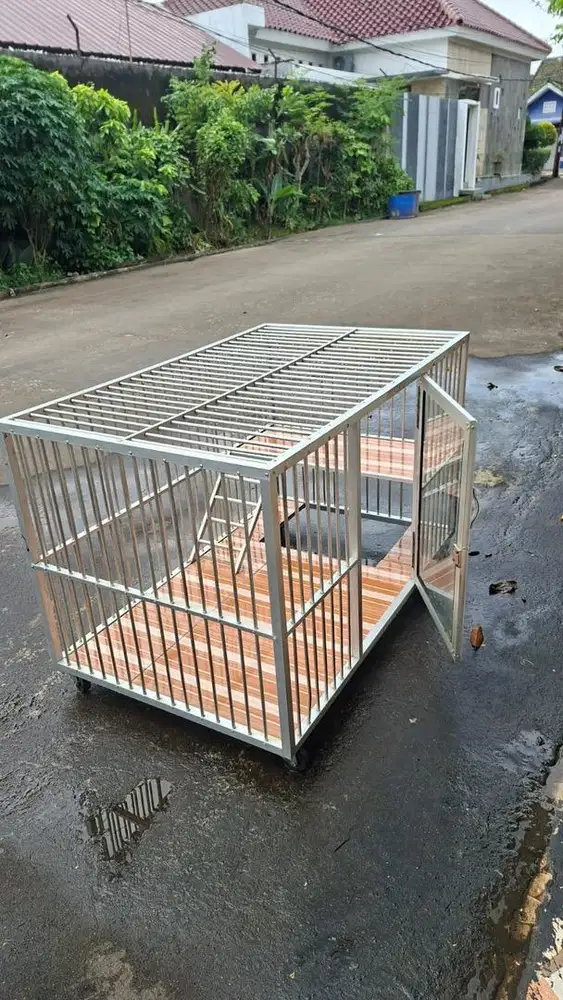 Kandang kucing bagus