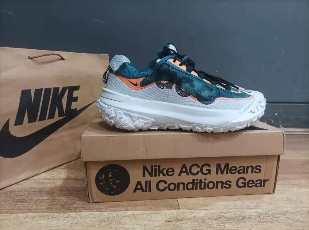 Nike ACG mountain fly 2 low