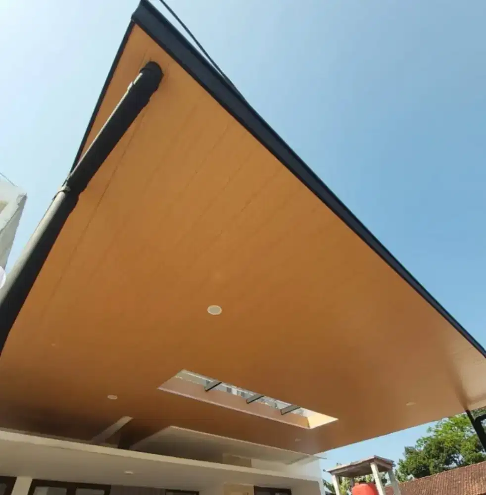 Canopy alderon palapon pvc