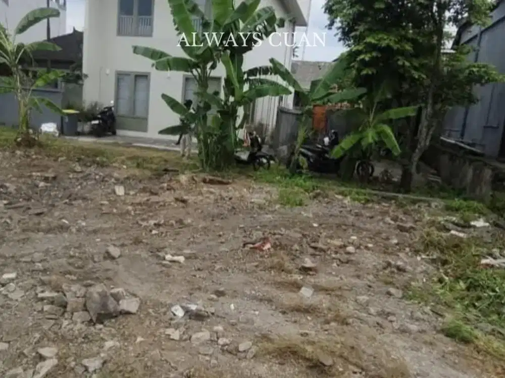 Tanah murah siap dibangun area kerobokan