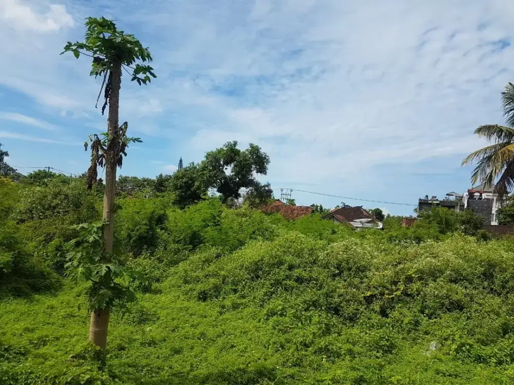 DIJUAL 1 BIDANG TANAH – KABUPATEN KARANGASEM