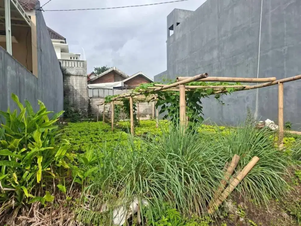 TANAH BENDUNGAN SIGURA GURA III SELANGKAH KE KAMPUS UB MALANG