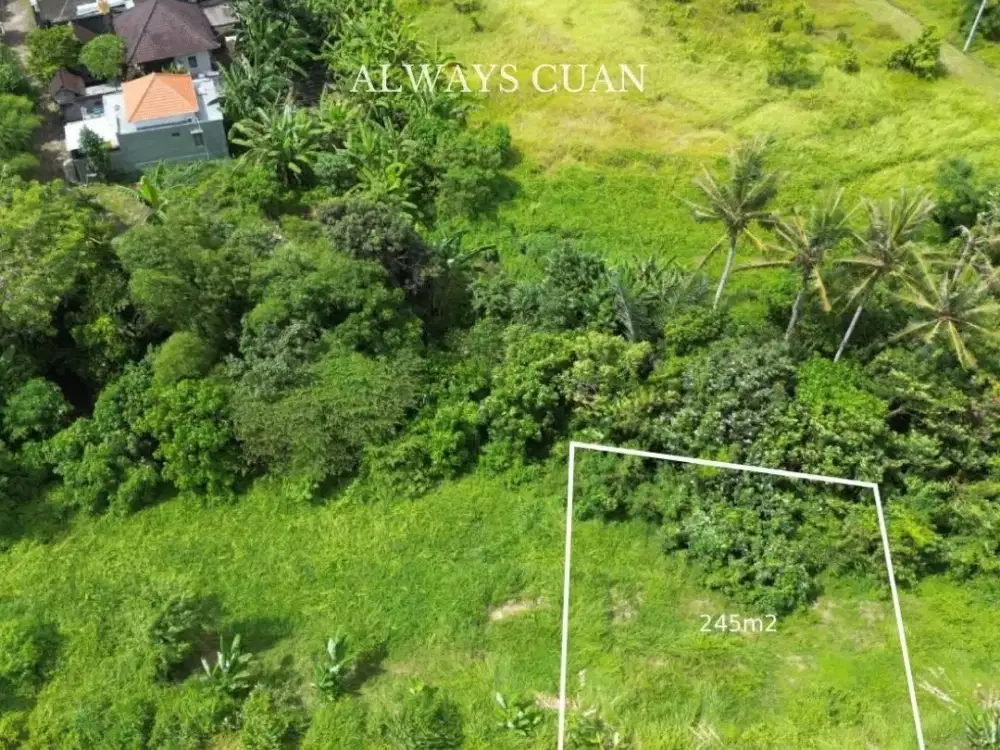 Tanah kavling area tabanan dijual, dekat akses ke bandara Ngurah Ray dan pantai