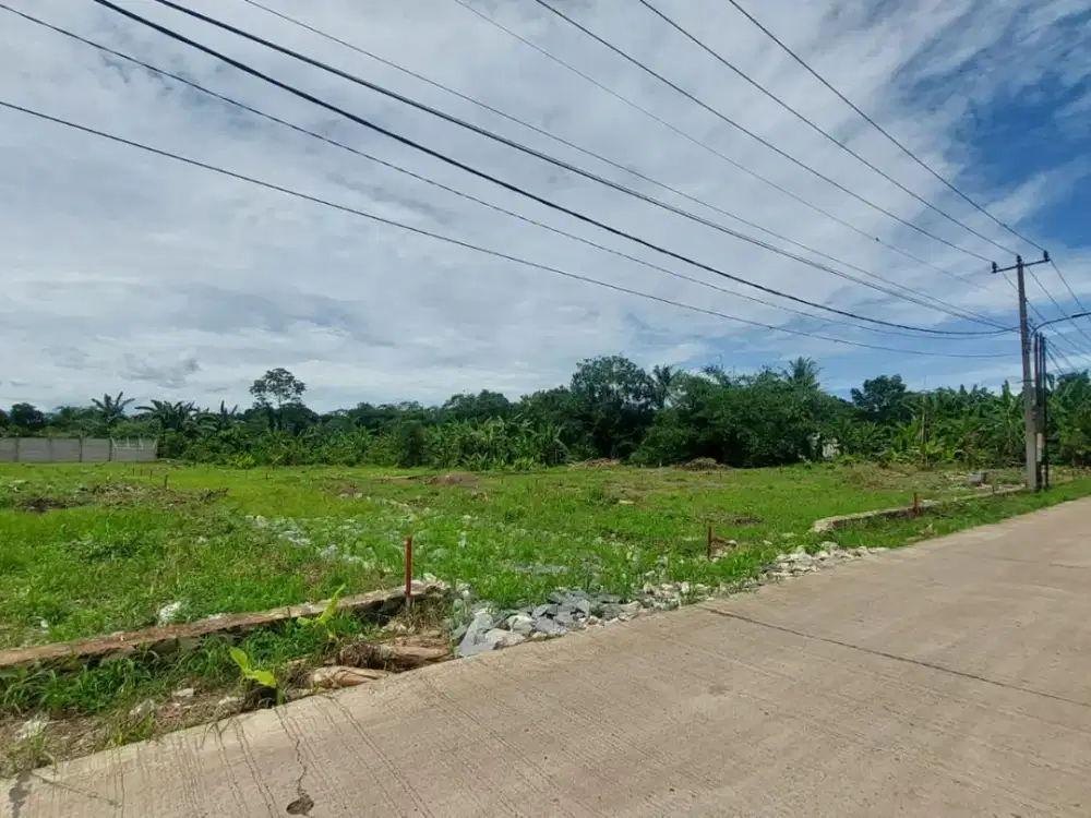 Dijual Tanah Kavling Cisauk Luas 100-an Dekat Stasiun