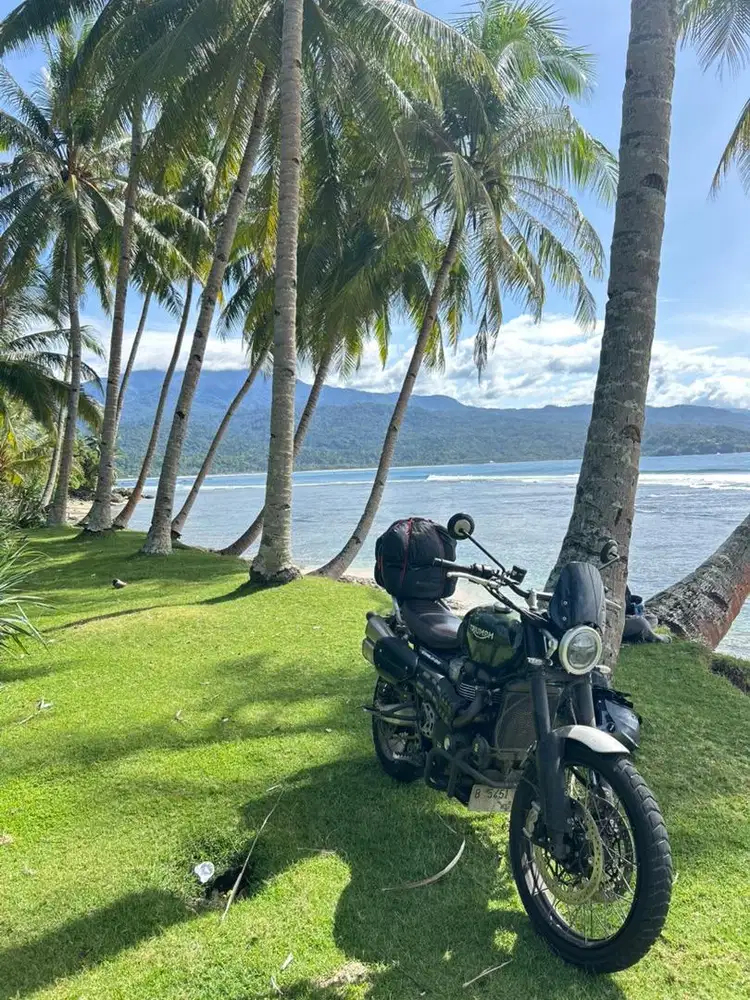 Triumph scrambler 1200 XC