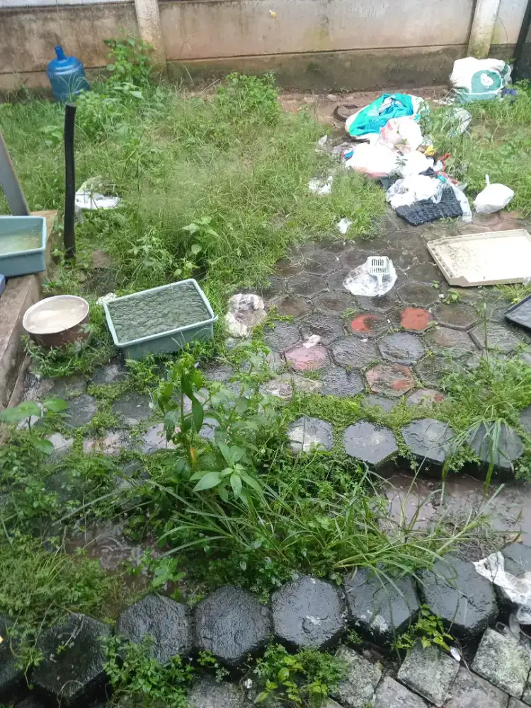 Dicari kerja serabutan 1 hari