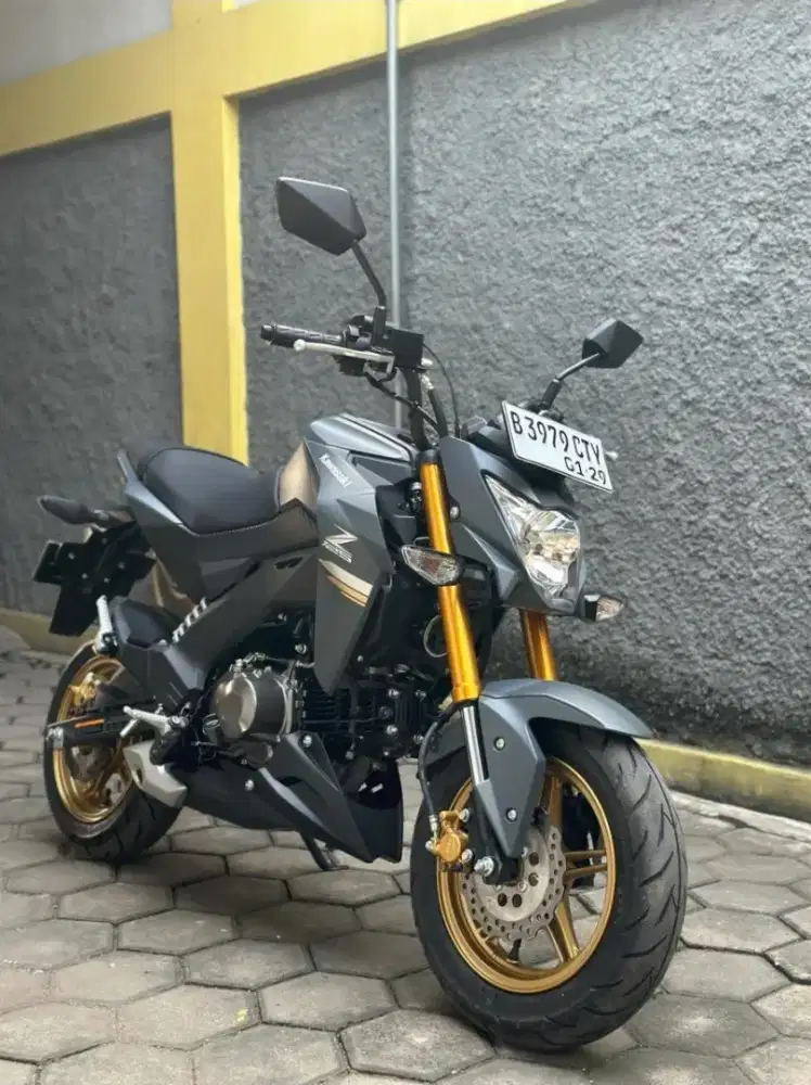 Kawasaki Z125 Pro 2024 Km 1rb
