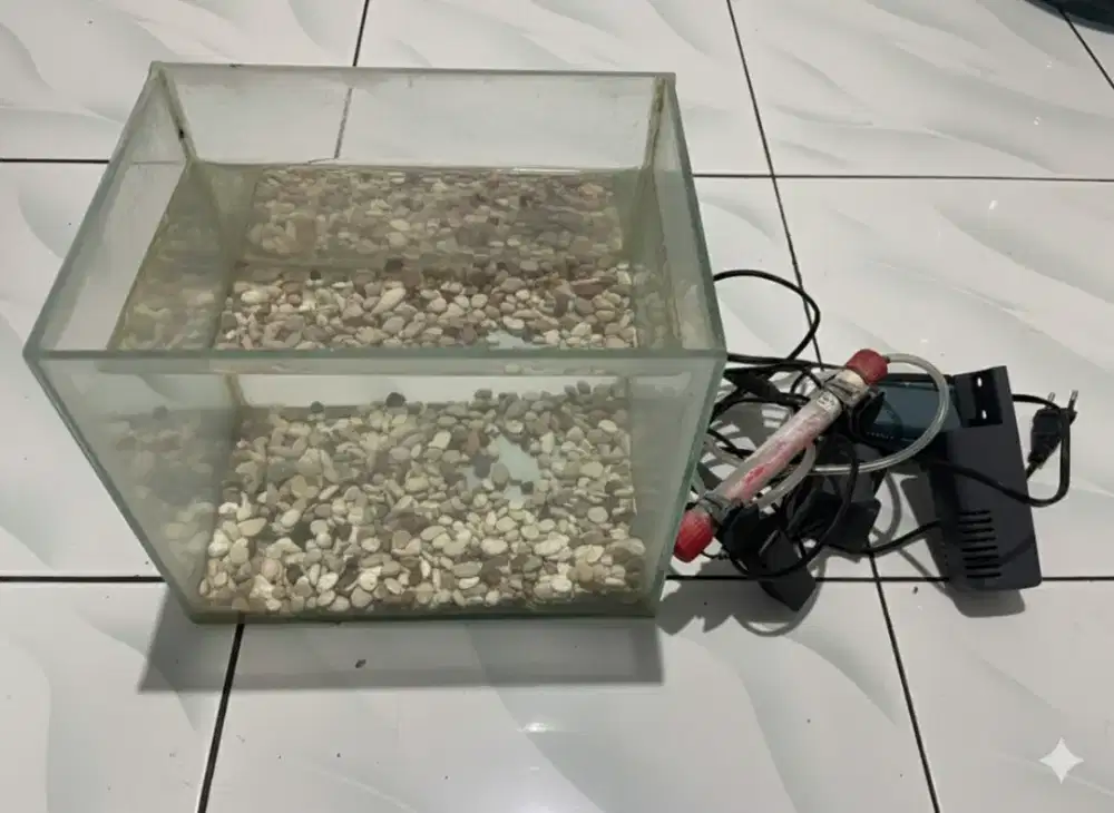 Aquarium ikan ukuran kecil