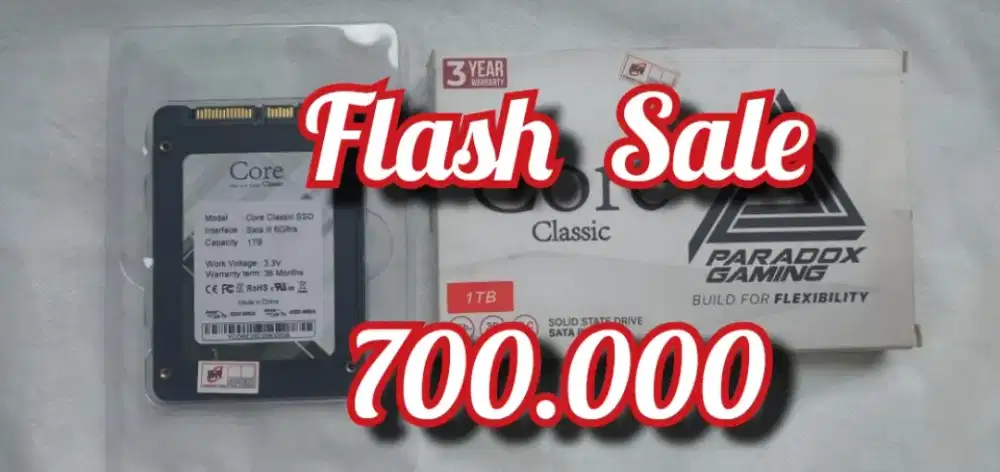 FLASH SALE SSD 1 TB [ WINDOWS 11 PRO - 26H1 ]