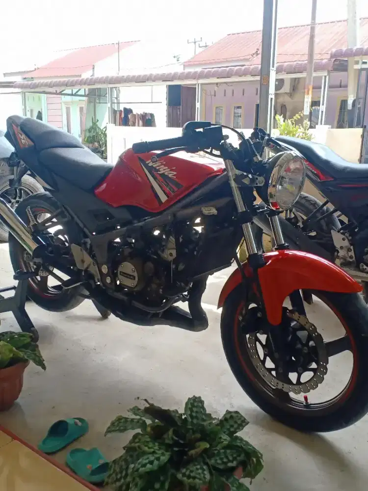 Kawasaki Ninja RR 150 SE 2014