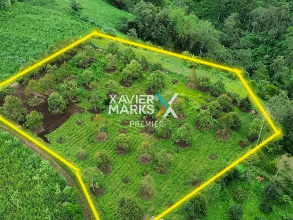 Dijual Tanah Kavling Cocok untuk Usaha di Jabung Malang