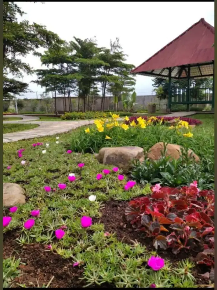 Jasa spesialis landskap taman kolam ikan relief dll