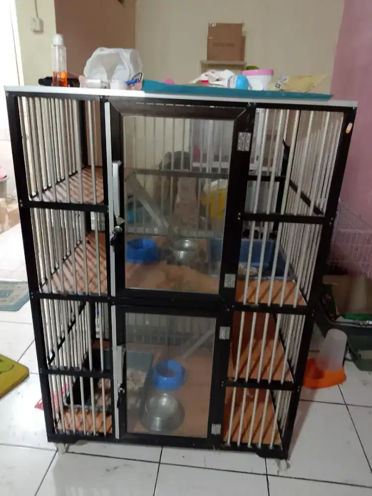 Kandang kucing atau anjing