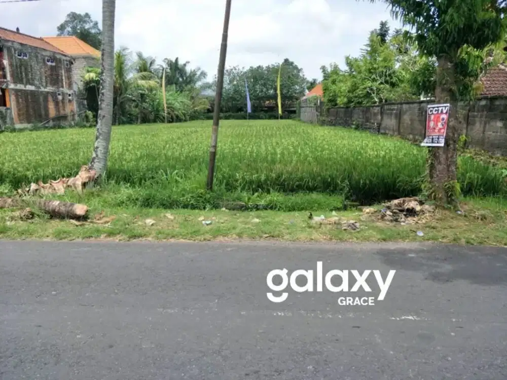 DISEWAKAN TANAH DEKAT KAWASAN WISATA DI MAS KEMENUH GIANYAR, BALI