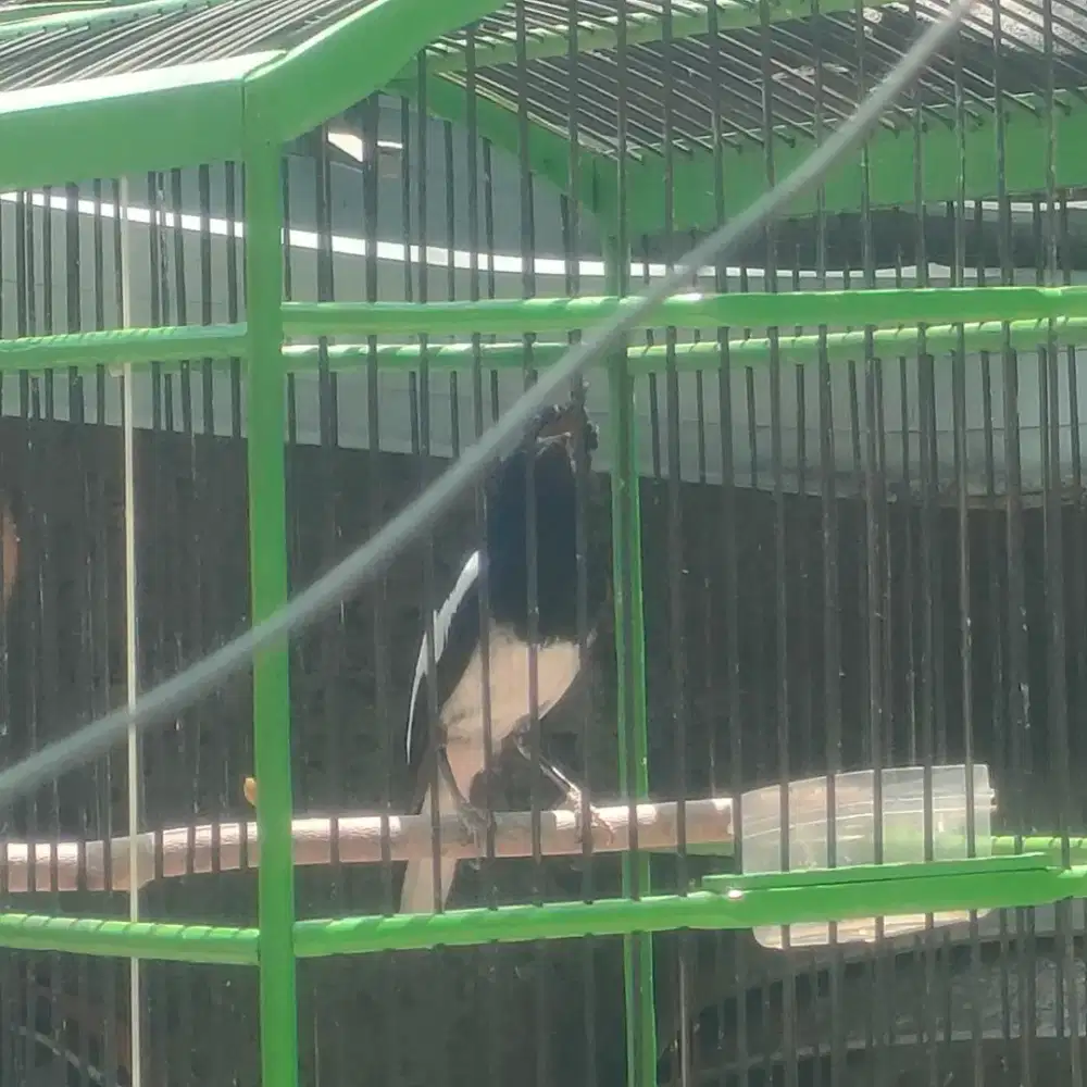 Mahar or cari kembalian banyak