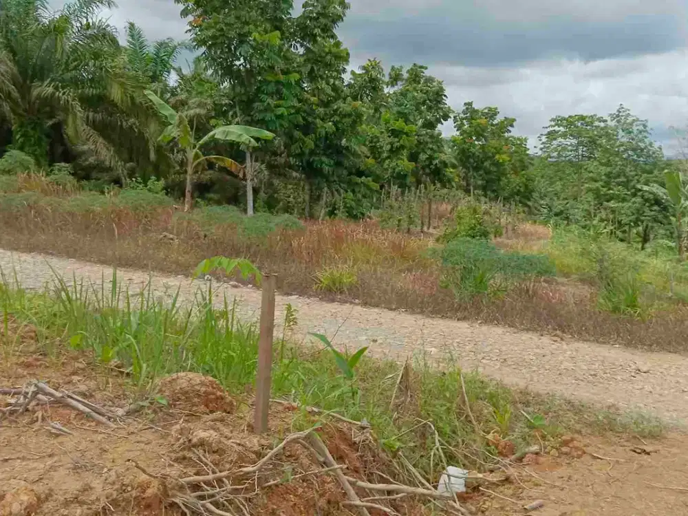 Bismillan dijual Tanah Premium siap bangun Ring 1 IKN 1 Ha SHM