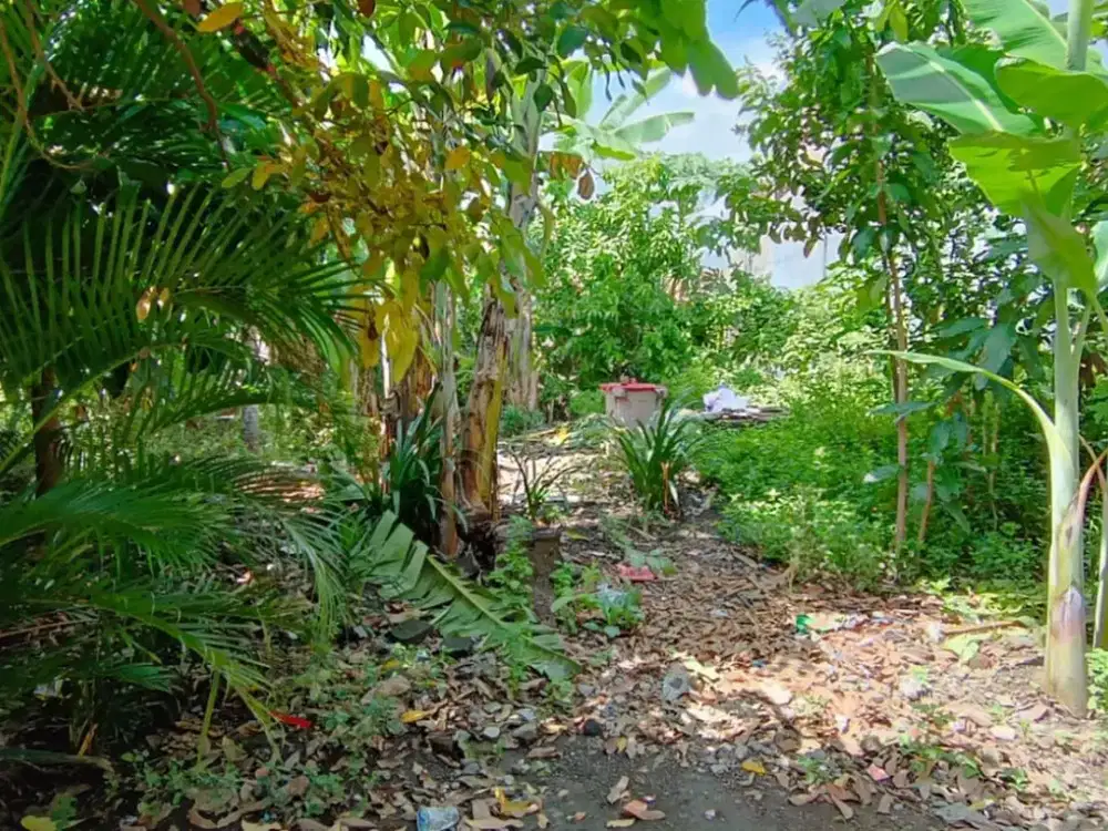 Tanah Pekarangan Luas 135 Meter Persegi Lokasi Purwomartani Kalasan Sleman