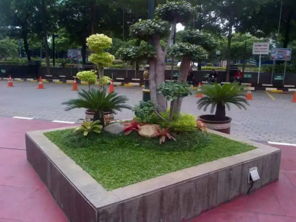 Jasa pembuatan Taman Korea taman Ooutdoor taman kering dll #8