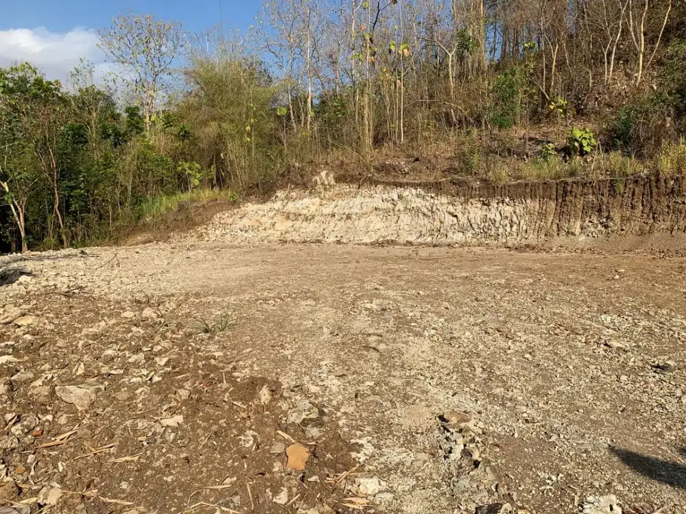 Tanah Dekat Wisata Puncak Sosok Bantul