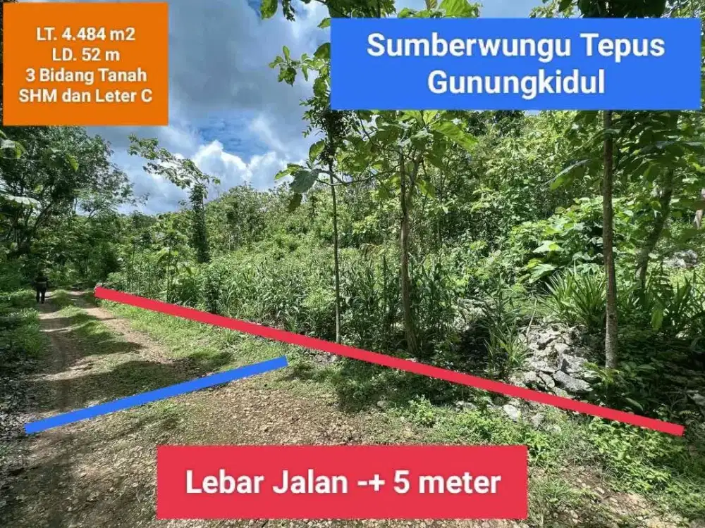 Jual tanah murah di Sumberwungu Tepus Gunungkidul luas 4484 m2 hanya 37 rb permeter