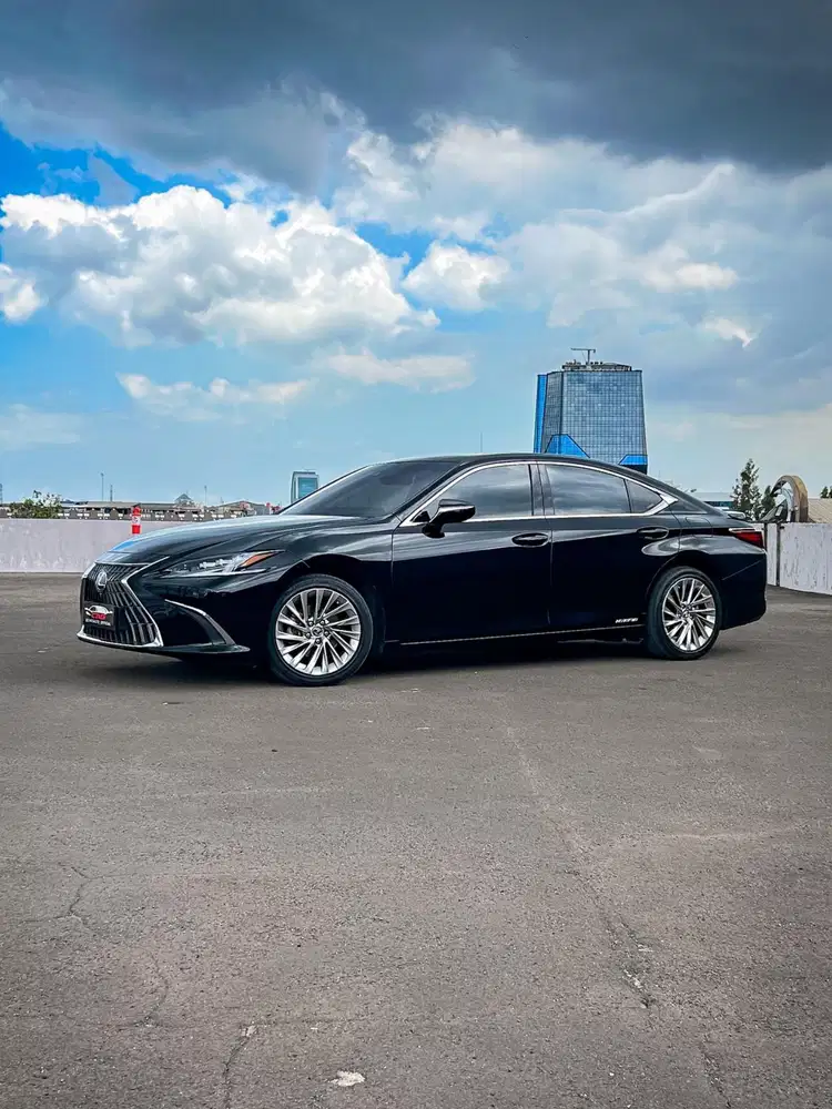 Hybrid, LEXUS ES300h ULTRA LUXURY 2022
/ 2023 ES 300