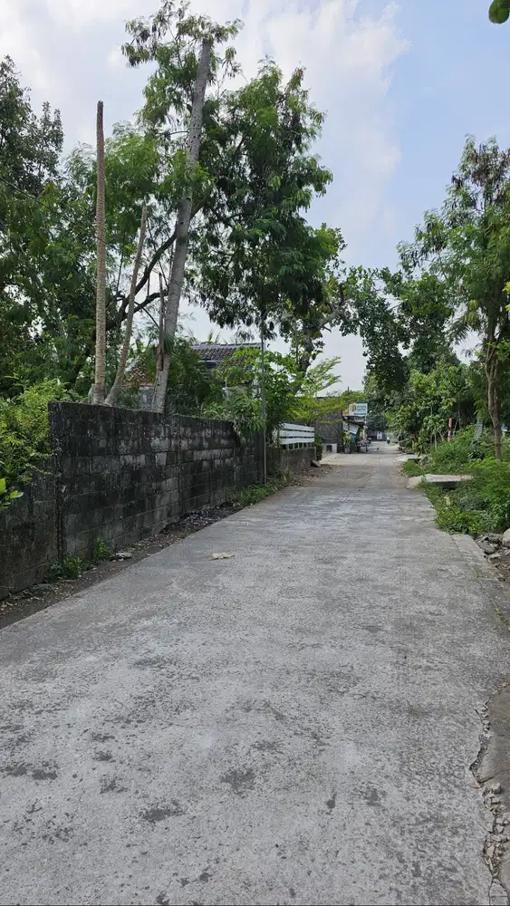 Tanah Pekarangan Strategis Dekat Jalan Keniten