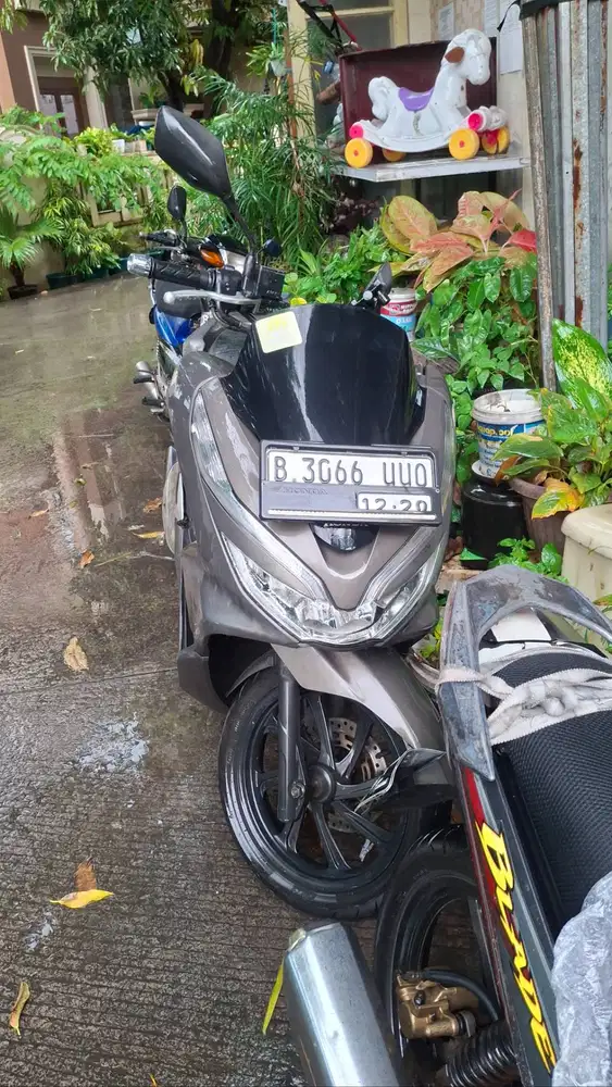 Honda PCX 2019 COKLAT