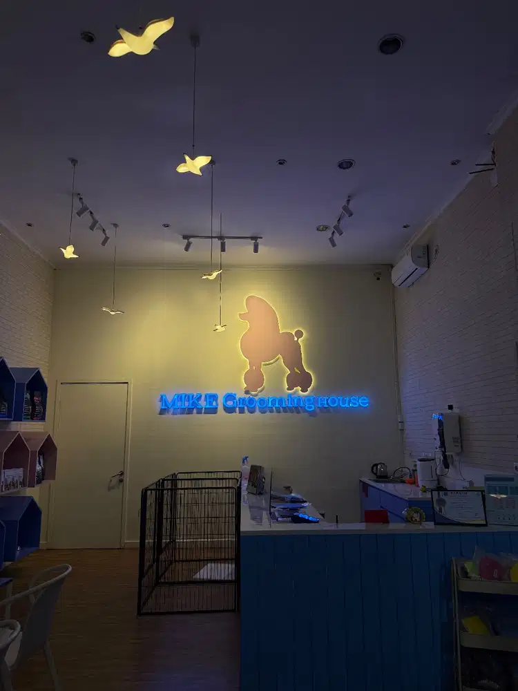 Lowongan Groomer Anjing/Kucing di MIKE Grooming House Cabang BSD