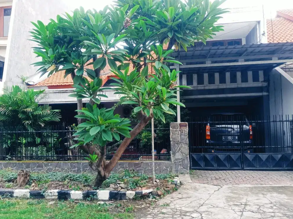 Di Jual Rumah Gayung Sari Barat Surabaya