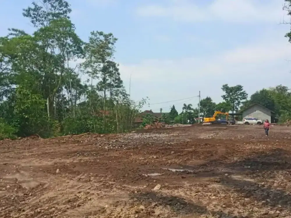 Tanah Utara Kopi Rolas Cocok untuk Villa