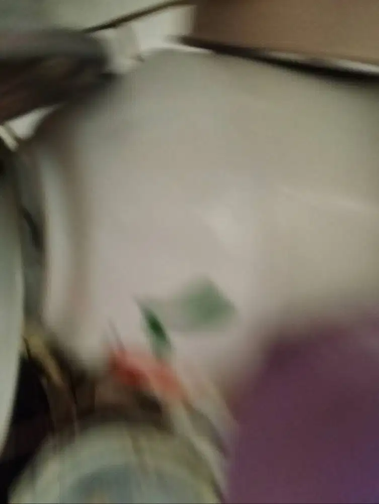 Cari Pembantu rumah tangga