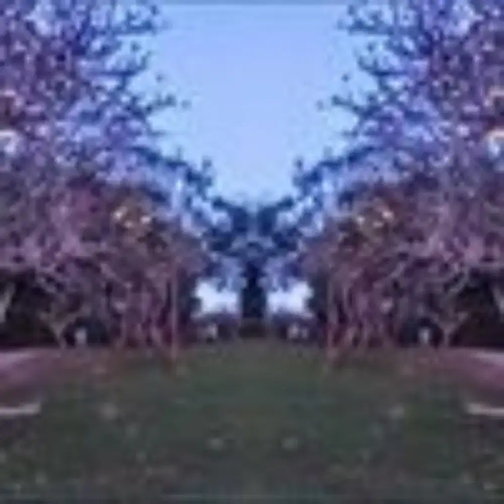 Asisten Rumah Tangga