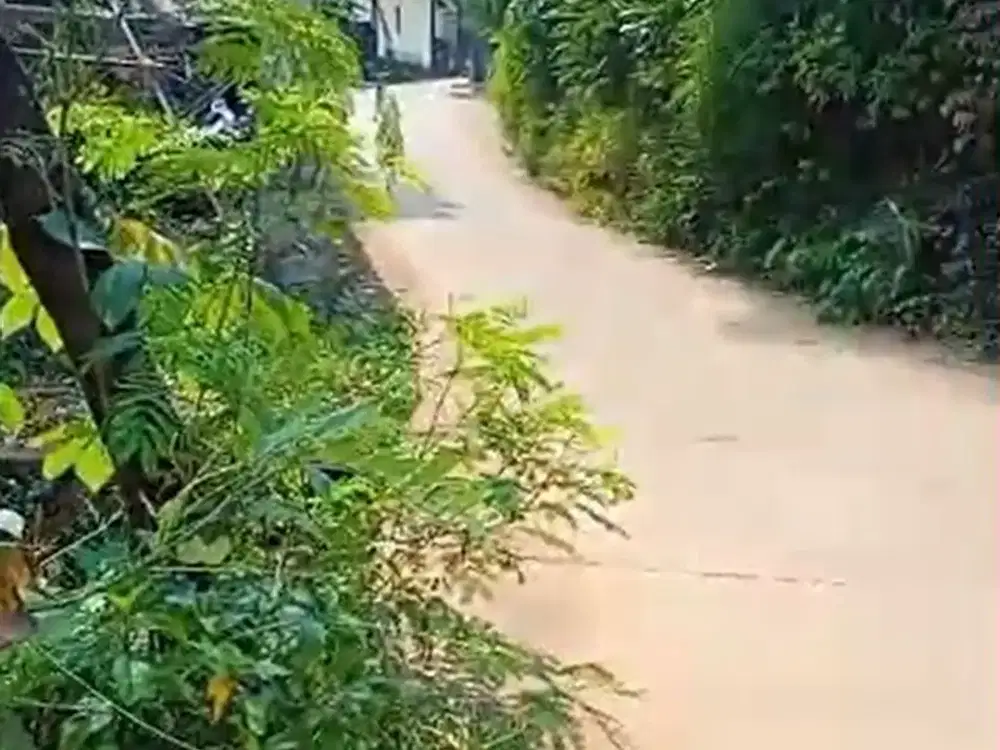 Tanah Bagus Padat, tanah kebuon, di sasak panjang, Tajur Halang Bogor