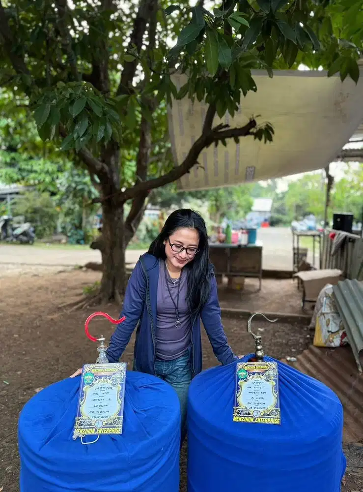 murai batu jantan prestasian kondisi on siap gantang no mines