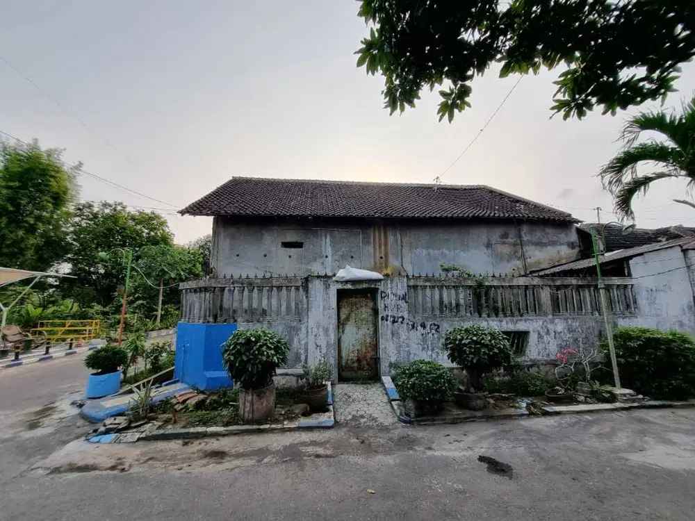 Dijual Eks Rumah Walet di Selokbesuki Lumajang Murah Bangunan Bagus