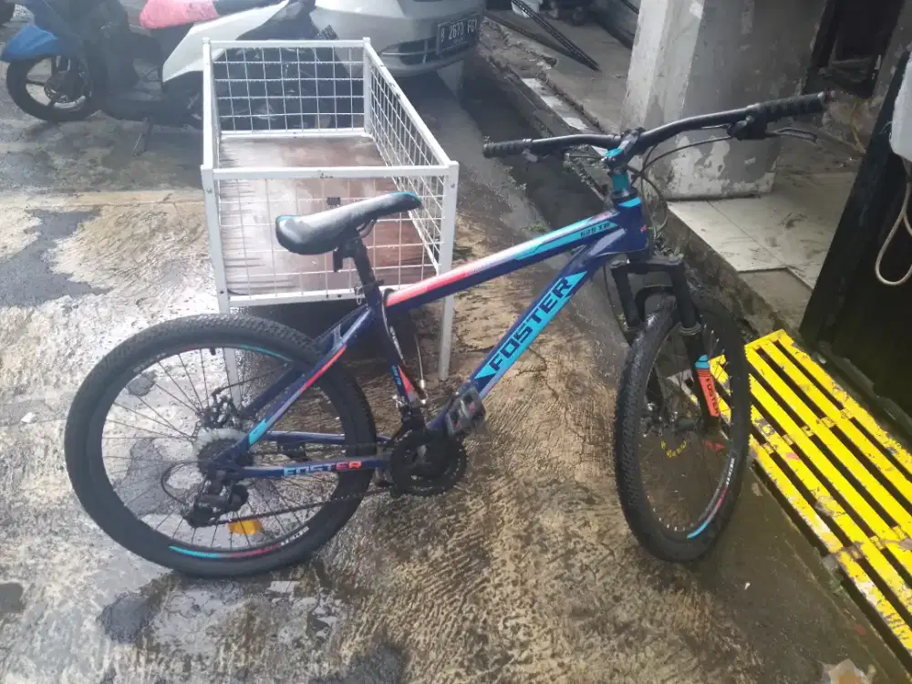 Sepeda foster 628TR