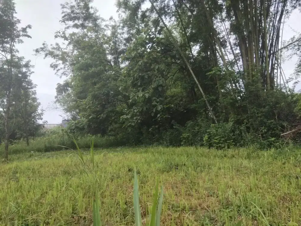 Kavling Bernilai Tinggi Kavling Strategis Ayana Landungsari Bangun Kost Sangat Menguntungkan