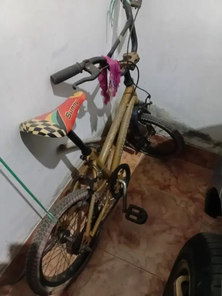 Sepeda dan jalur mobilan