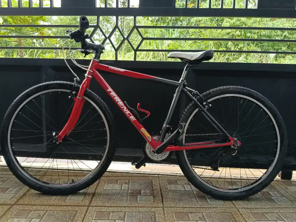Sepeda Gunung Terence Finisher (size 17)