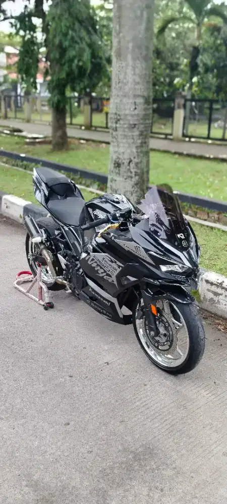 Ninja 250 Fi 2018