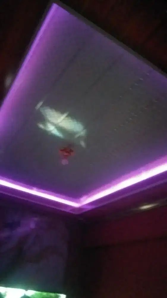 Terima jasa renof dang kontruksi