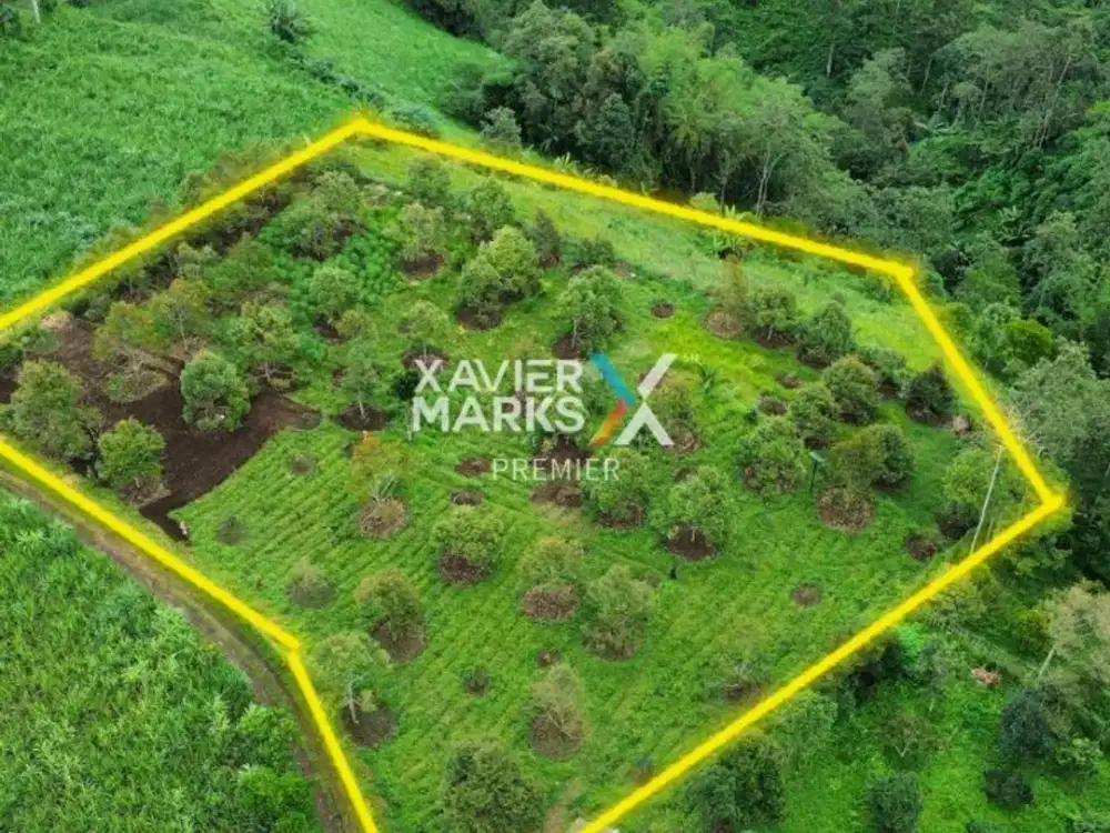 Dijual Tanah Kavling di Jabung, Kenongo, Malang