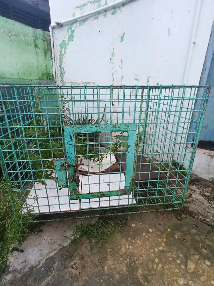 Kandang hewan kucing dan serbaguna