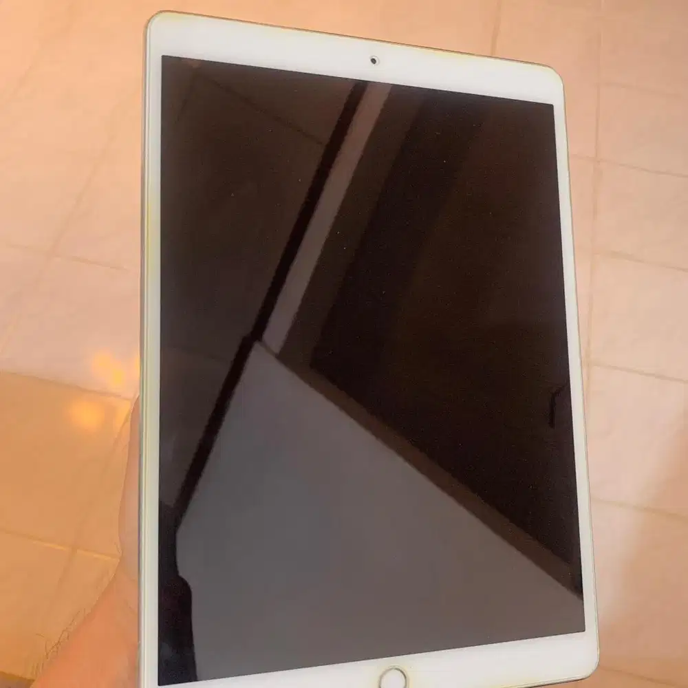 iPad Pro 10.5 64Gb Wifi-Cellular + Apple Pencil gen 1 (Ex. TAM)