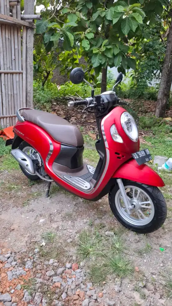 Scoopy prestige