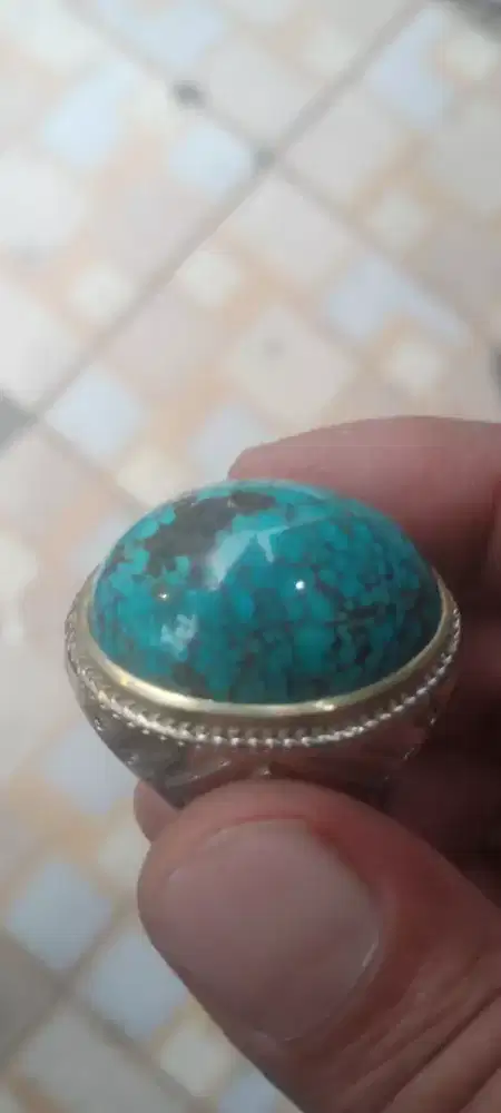Pirus Persia urat jala mumbul jenong